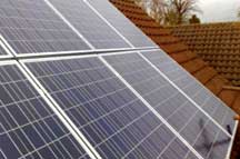 Sustainability